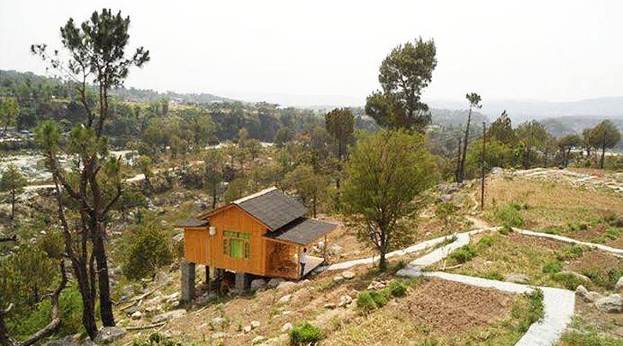 Jerrys Jungle Hunts, Palampur 2
